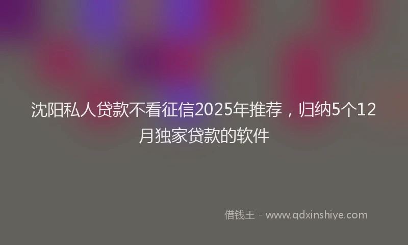 沈阳私人贷款不看征信2025年推荐，归纳5个12月独家贷款的软件