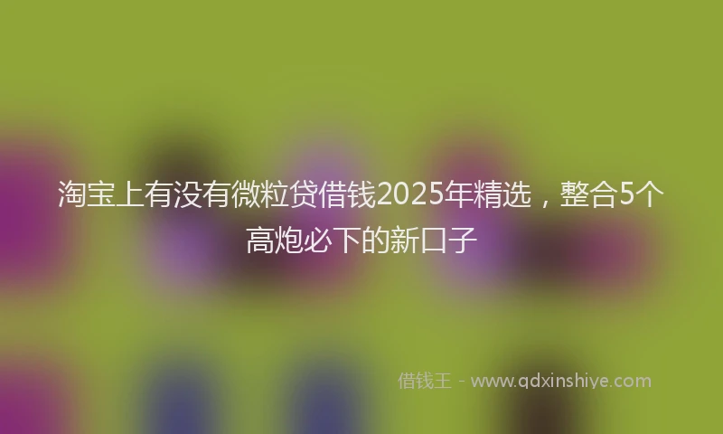 淘宝上有没有微粒贷借钱2025年精选，整合5个高炮必下的新口子