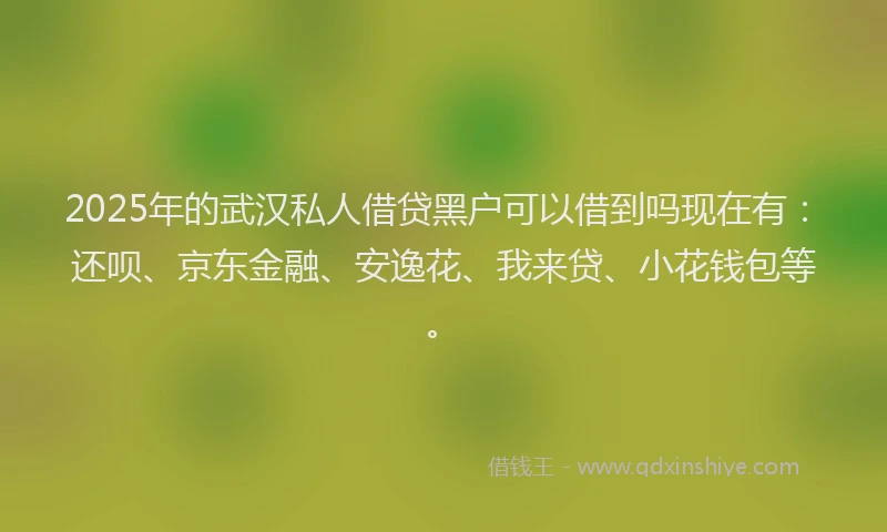 2025年的武汉私人借贷黑户可以借到吗现在有：还呗、京东金融、安逸花、我来贷、小花钱包等。