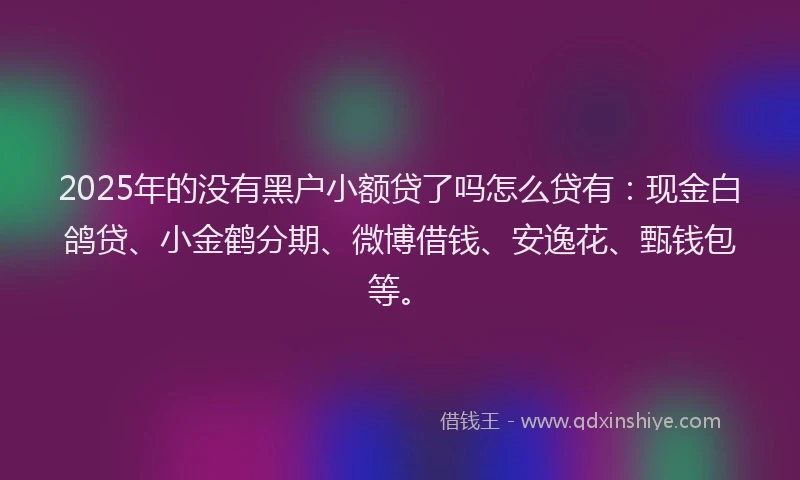 2025年的没有黑户小额贷了吗怎么贷有：现金白鸽贷、小金鹤分期、微博借钱、安逸花、甄钱包等。