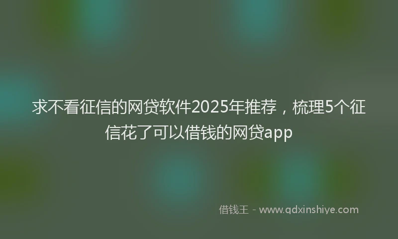 求不看征信的网贷软件2025年推荐，梳理5个征信花了可以借钱的网贷app