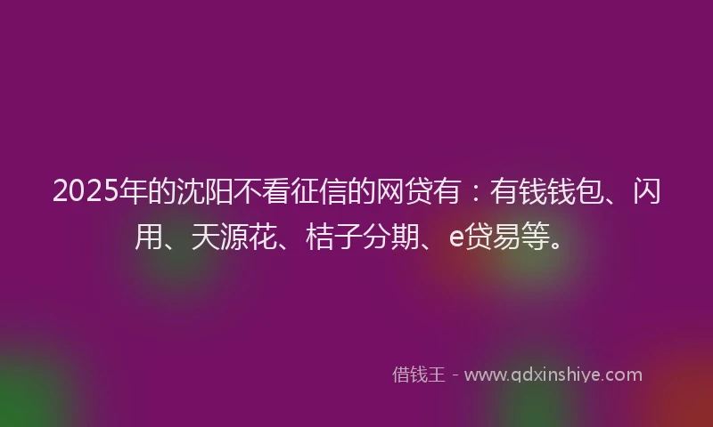 2025年的沈阳不看征信的网贷有：有钱钱包、闪用、天源花、桔子分期、e贷易等。