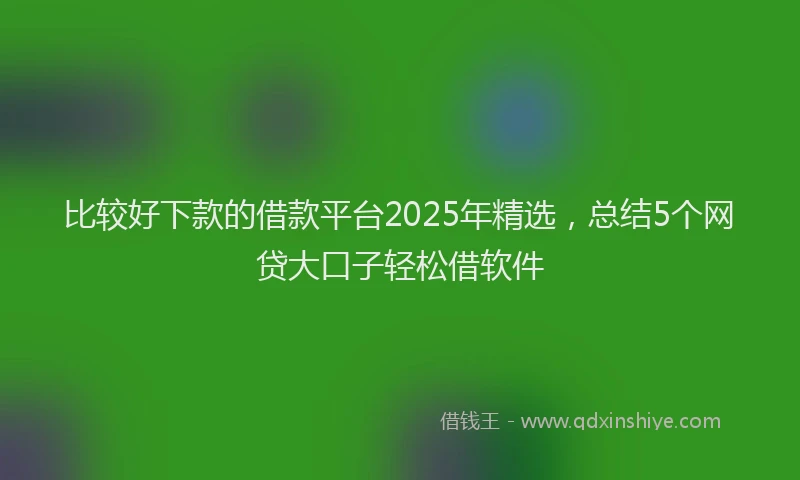 比较好下款的借款平台2025年精选，总结5个网贷大口子轻松借软件