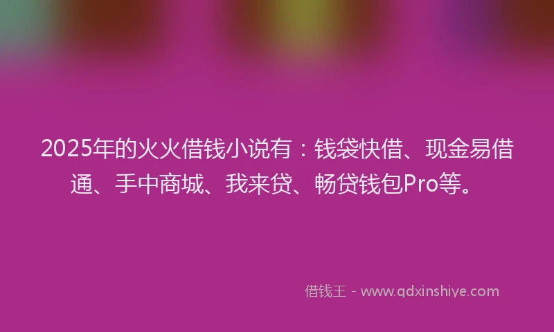 2025年的火火借钱小说有：钱袋快借、现金易借通、手中商城、我来贷、畅贷钱包Pro等。