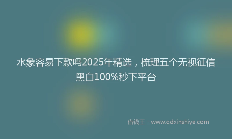 水象容易下款吗2025年精选，梳理五个无视征信黑白100%秒下平台