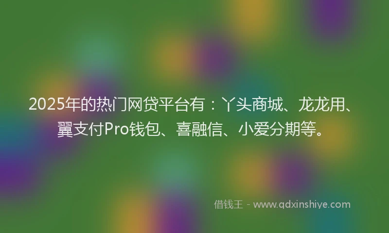 2025年的热门网贷平台有：丫头商城、龙龙用、翼支付Pro钱包、喜融信、小爱分期等。