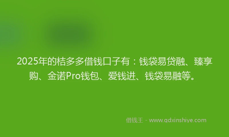 2025年的桔多多借钱口子有：钱袋易贷融、臻享购、金诺Pro钱包、爱钱进、钱袋易融等。