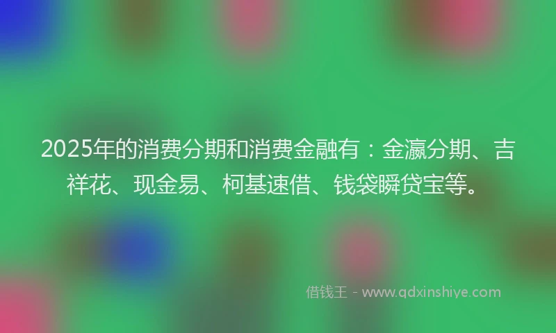2025年的消费分期和消费金融有：金瀛分期、吉祥花、现金易、柯基速借、钱袋瞬贷宝等。