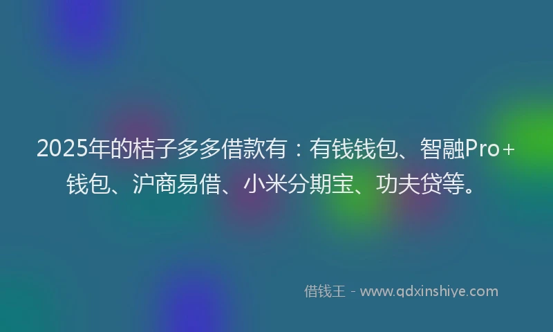 2025年的桔子多多借款有：有钱钱包、智融Pro+钱包、沪商易借、小米分期宝、功夫贷等。