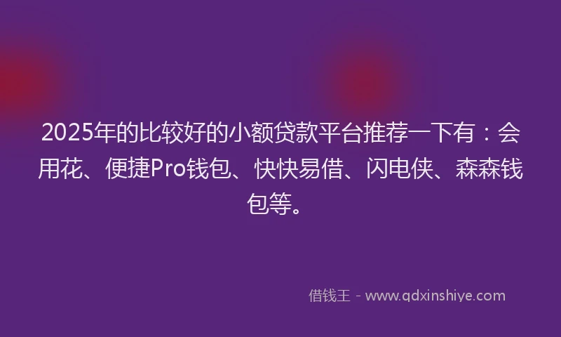 2025年的比较好的小额贷款平台推荐一下有：会用花、便捷Pro钱包、快快易借、闪电侠、森森钱包等。