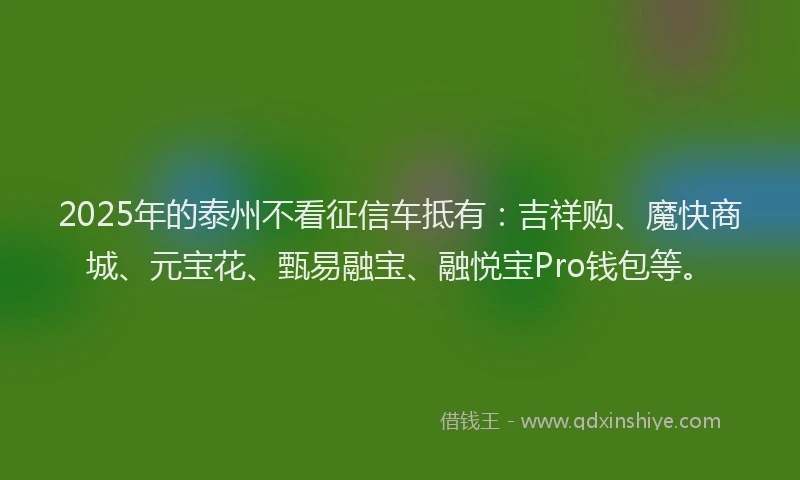 2025年的泰州不看征信车抵有：吉祥购、魔快商城、元宝花、甄易融宝、融悦宝Pro钱包等。