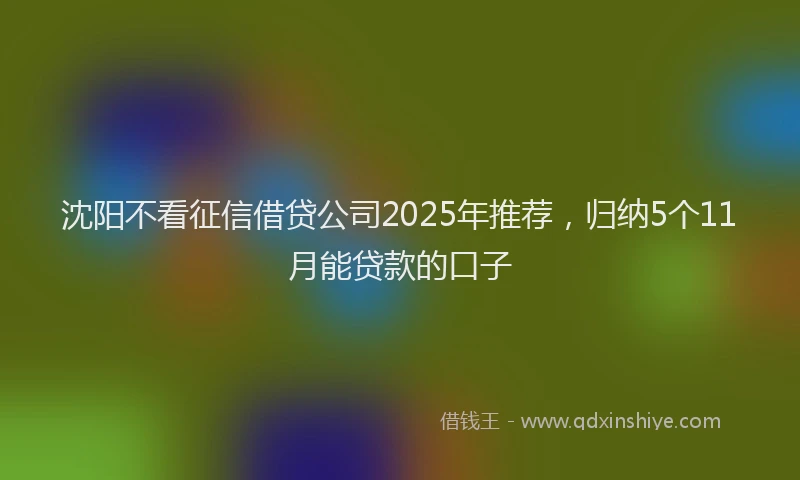 沈阳不看征信借贷公司2025年推荐，归纳5个11月能贷款的口子
