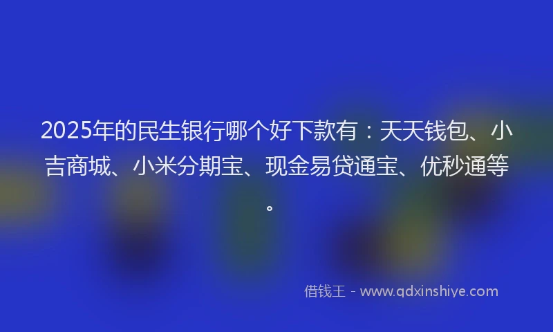 2025年的民生银行哪个好下款有：天天钱包、小吉商城、小米分期宝、现金易贷通宝、优秒通等。