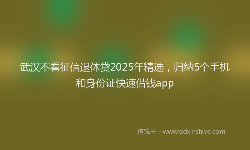 武汉不看征信退休贷2025年精选，归纳5个手机和身份证快速借钱app