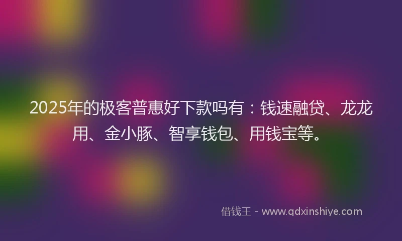 2025年的极客普惠好下款吗有：钱速融贷、龙龙用、金小豚、智享钱包、用钱宝等。