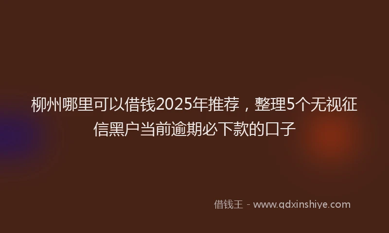 柳州哪里可以借钱2025年推荐，整理5个无视征信黑户当前逾期必下款的口子