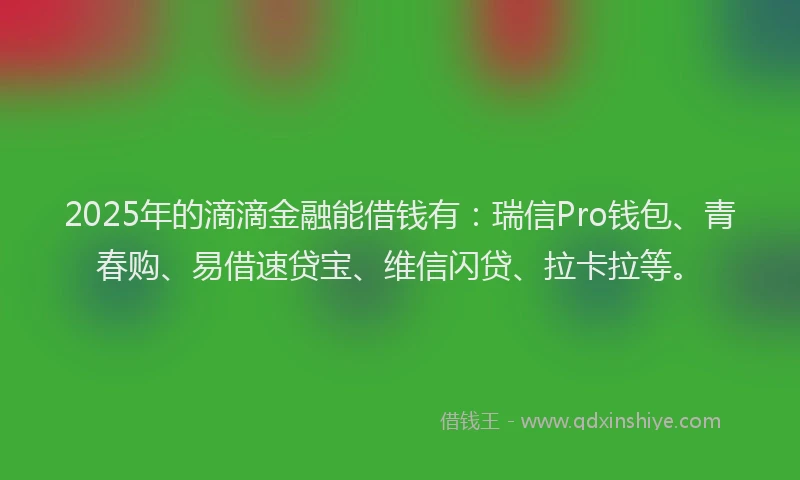 2025年的滴滴金融能借钱有：瑞信Pro钱包、青春购、易借速贷宝、维信闪贷、拉卡拉等。