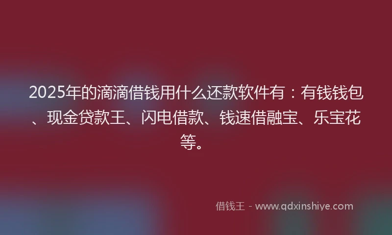 2025年的滴滴借钱用什么还款软件有：有钱钱包、现金贷款王、闪电借款、钱速借融宝、乐宝花等。