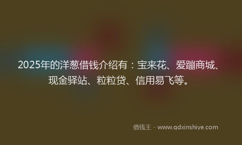 2025年的洋葱借钱介绍有：宝来花、爱蹦商城、现金驿站、粒粒贷、信用易飞等。
