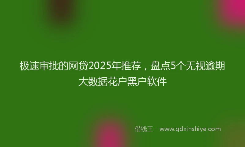 极速审批的网贷2025年推荐，盘点5个无视逾期大数据花户黑户软件