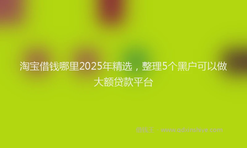淘宝借钱哪里2025年精选，整理5个黑户可以做大额贷款平台