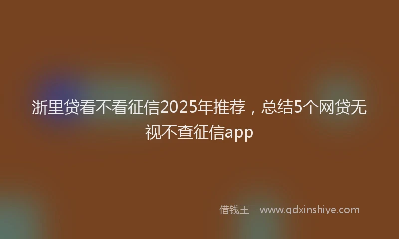 浙里贷看不看征信2025年推荐，总结5个网贷无视不查征信app
