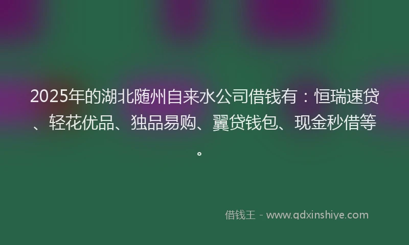 2025年的湖北随州自来水公司借钱有：恒瑞速贷、轻花优品、独品易购、翼贷钱包、现金秒借等。