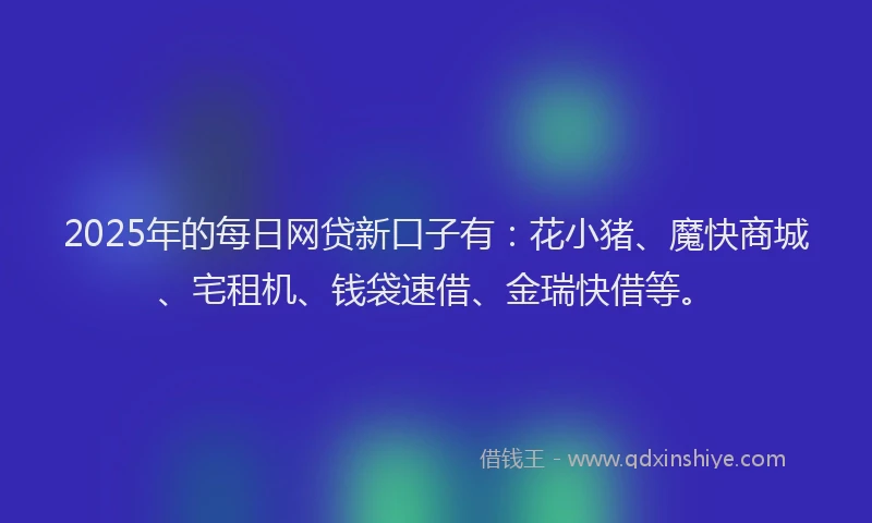 2025年的每日网贷新口子有：花小猪、魔快商城、宅租机、钱袋速借、金瑞快借等。