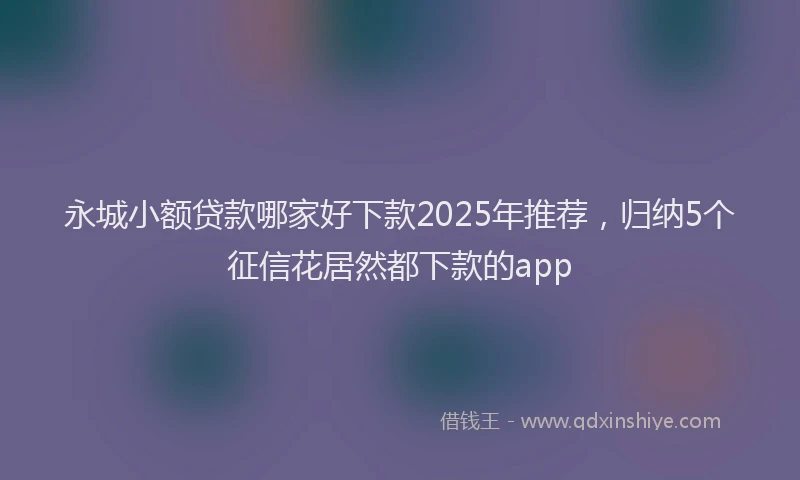 永城小额贷款哪家好下款2025年推荐，归纳5个征信花居然都下款的app