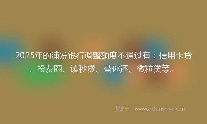 2025年的浦发银行调整额度不通过有：信用卡贷、投友圈、读秒贷、替你还、微粒贷等。