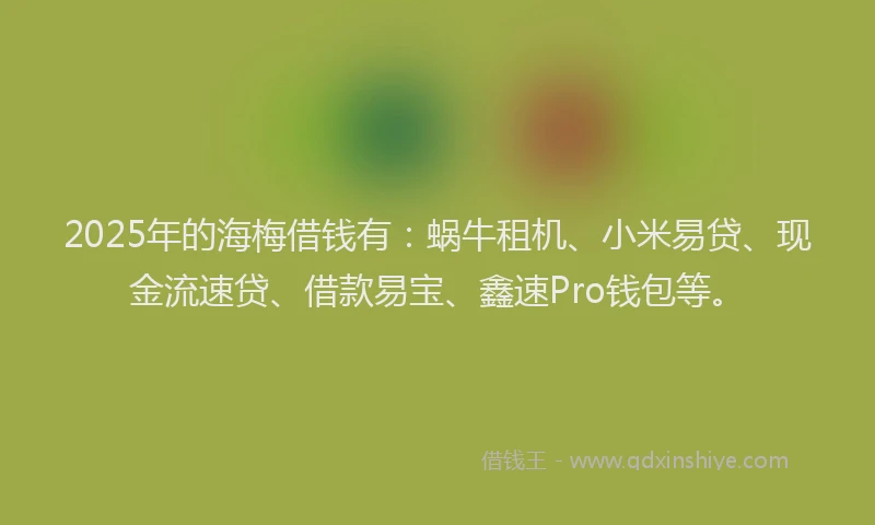 2025年的海梅借钱有：蜗牛租机、小米易贷、现金流速贷、借款易宝、鑫速Pro钱包等。