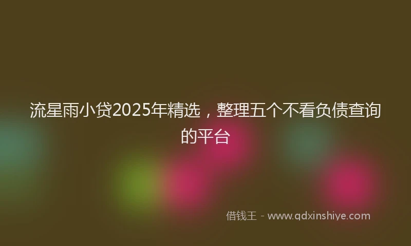 流星雨小贷2025年精选，整理五个不看负债查询的平台