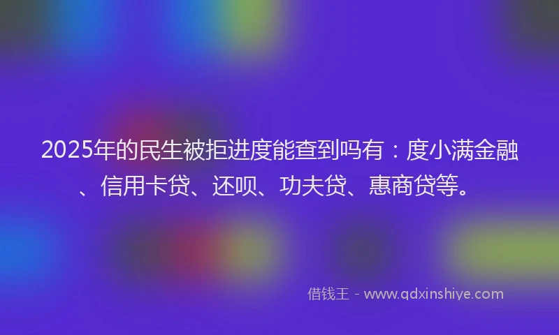 2025年的民生被拒进度能查到吗有：度小满金融、信用卡贷、还呗、功夫贷、惠商贷等。
