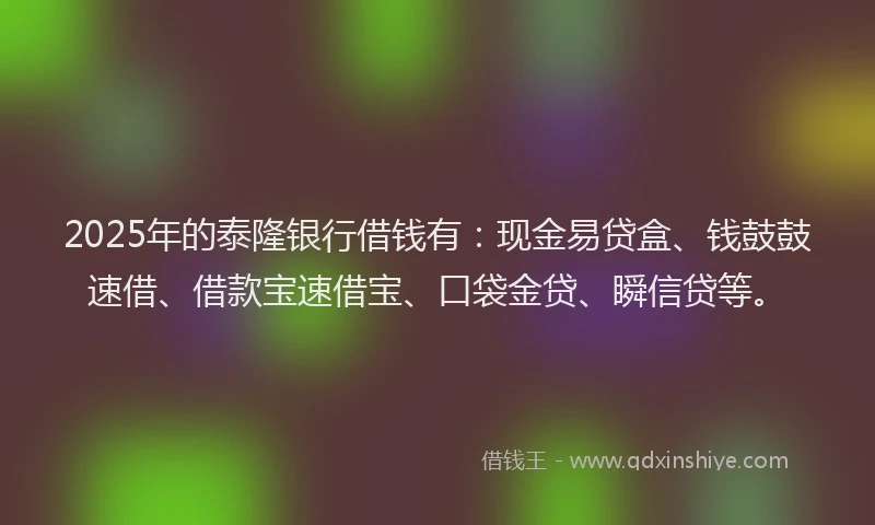 2025年的泰隆银行借钱有：现金易贷盒、钱鼓鼓速借、借款宝速借宝、口袋金贷、瞬信贷等。