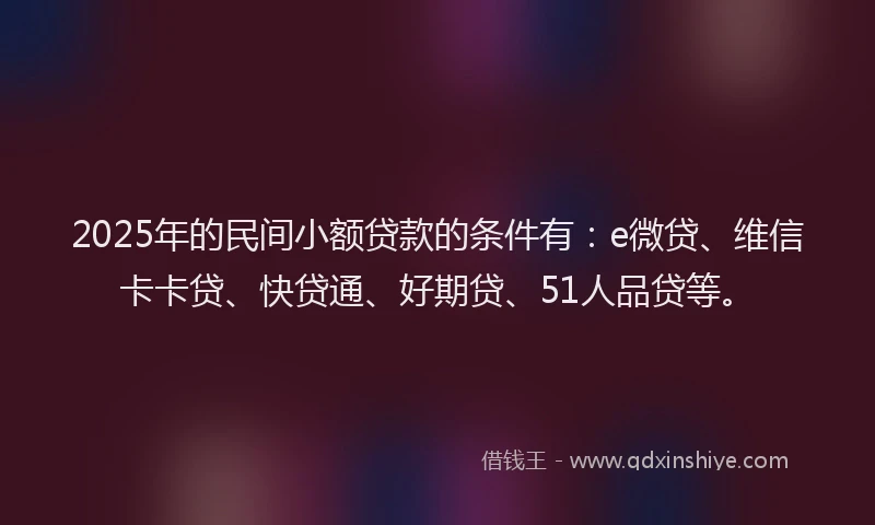 2025年的民间小额贷款的条件有：e微贷、维信卡卡贷、快贷通、好期贷、51人品贷等。