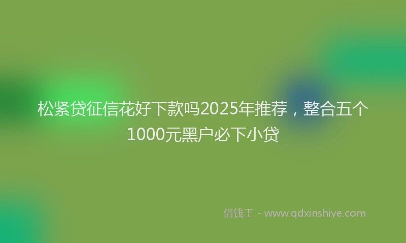 松紧贷征信花好下款吗2025年推荐，整合五个1000元黑户必下小贷