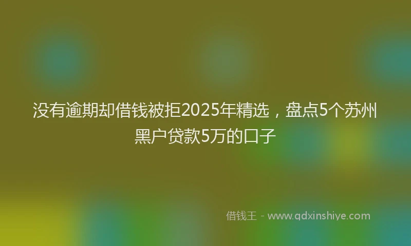 没有逾期却借钱被拒2025年精选，盘点5个苏州黑户贷款5万的口子