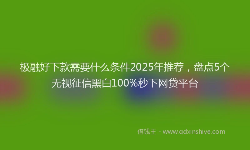 极融好下款需要什么条件2025年推荐，盘点5个无视征信黑白100%秒下网贷平台
