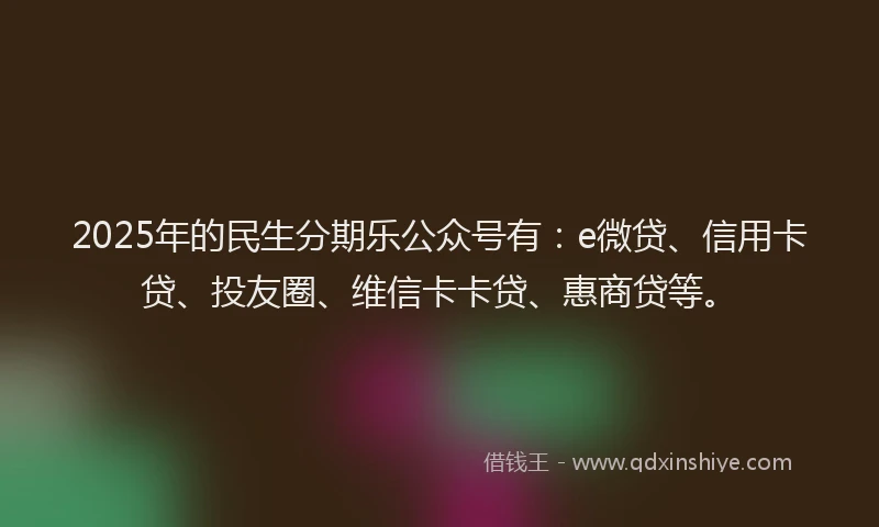 2025年的民生分期乐公众号有：e微贷、信用卡贷、投友圈、维信卡卡贷、惠商贷等。