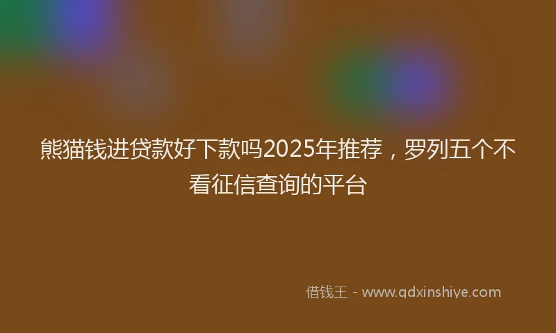 熊猫钱进贷款好下款吗2025年推荐，罗列五个不看征信查询的平台