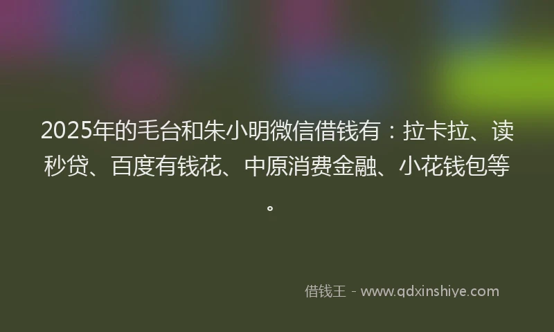 2025年的毛台和朱小明微信借钱有：拉卡拉、读秒贷、百度有钱花、中原消费金融、小花钱包等。