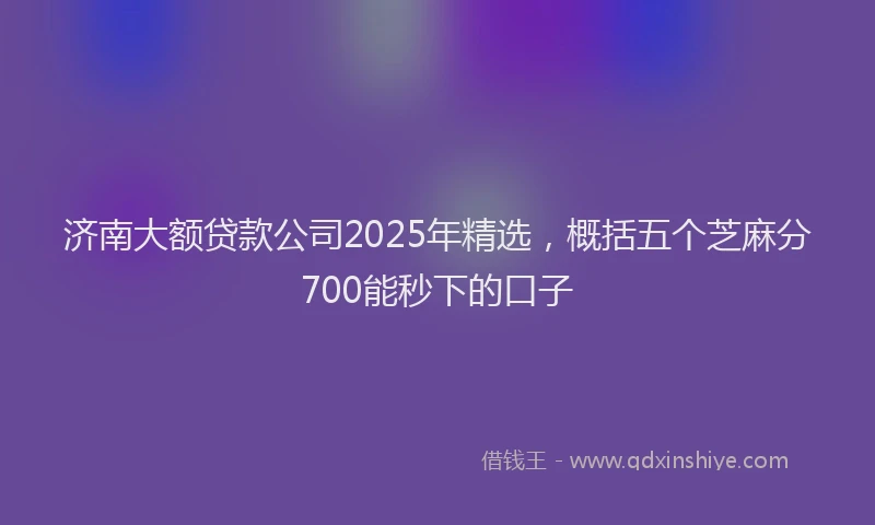 济南大额贷款公司2025年精选，概括五个芝麻分700能秒下的口子