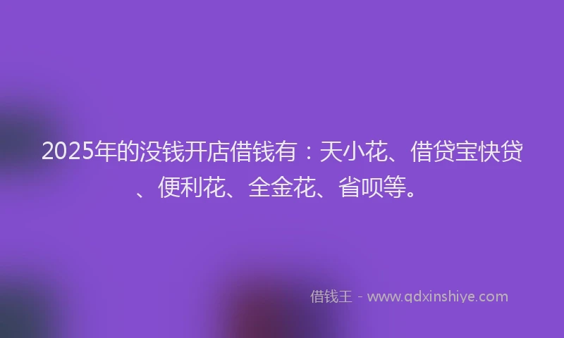 2025年的没钱开店借钱有：天小花、借贷宝快贷、便利花、全金花、省呗等。
