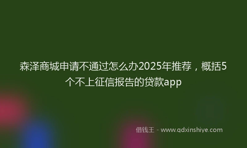 森泽商城申请不通过怎么办2025年推荐，概括5个不上征信报告的贷款app
