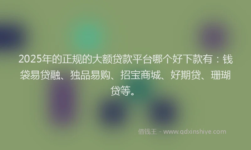 2025年的正规的大额贷款平台哪个好下款有：钱袋易贷融、独品易购、招宝商城、好期贷、珊瑚贷等。