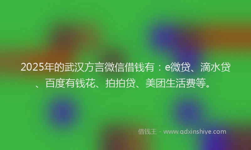 2025年的武汉方言微信借钱有：e微贷、滴水贷、百度有钱花、拍拍贷、美团生活费等。