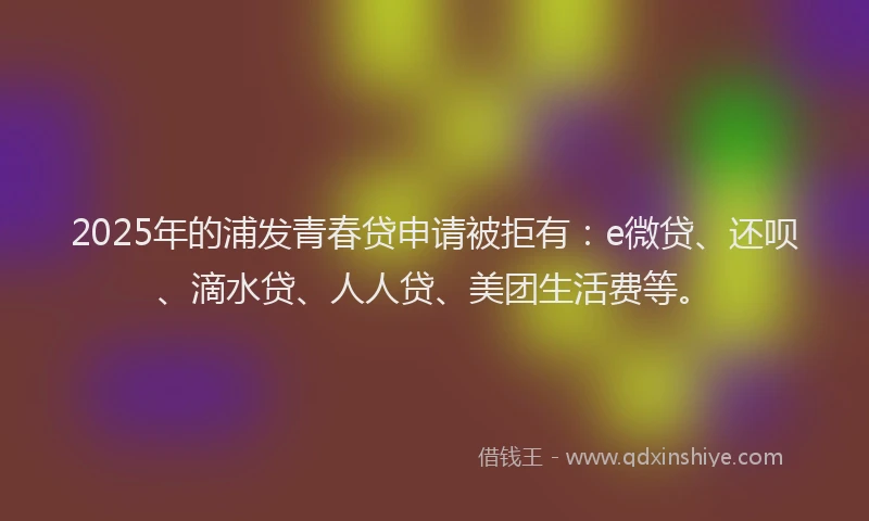 2025年的浦发青春贷申请被拒有：e微贷、还呗、滴水贷、人人贷、美团生活费等。