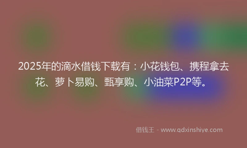 2025年的滴水借钱下载有：小花钱包、携程拿去花、萝卜易购、甄享购、小油菜P2P等。