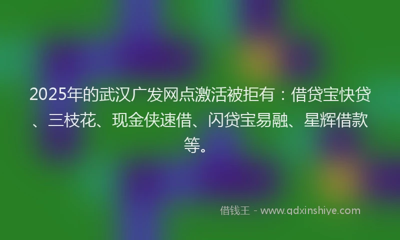 2025年的武汉广发网点激活被拒有：借贷宝快贷、三枝花、现金侠速借、闪贷宝易融、星辉借款等。