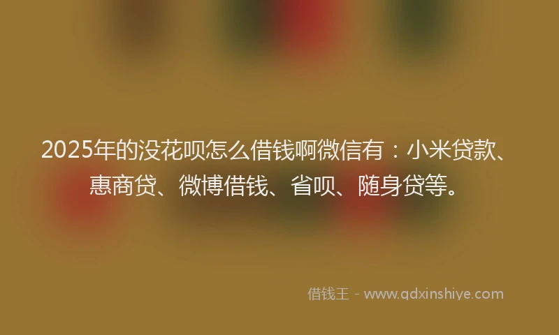 2025年的没花呗怎么借钱啊微信有：小米贷款、惠商贷、微博借钱、省呗、随身贷等。